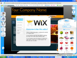 wix review